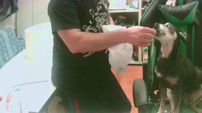 stenuccio — Cam4 stream photo (Jun 2026)