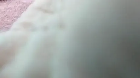 lia_verse — stripchat