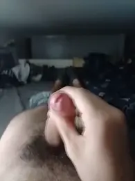 totolescientifique — Stripchat stream photo (Jun 2026)