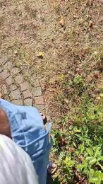 riki_alb — 在 cam4 直播的网络摄像头模特