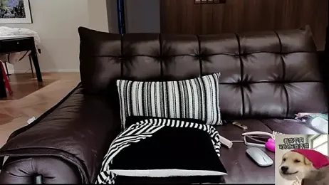 -Aricia- — 在 stripchat 直播的网络摄像头模特