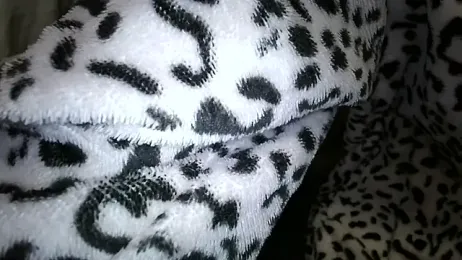 Dark666Sunshine — Stripchat stream photo (Nov 2025)