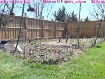 ells_palace — 在 chaturbate 直播的网络摄像头模特