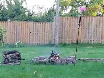 ells_palace — Chaturbate stream photo (Oct 2025)