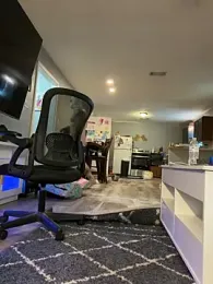 BearChubby300 — Stripchat stream photo (Mar 2026)