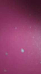 alge18 — 在 cam4 直播的网络摄像头模特