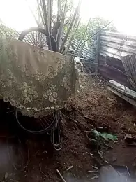 tayson_ — Stripchat stream photo (Mar 2026)