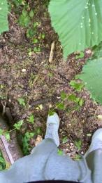 OnlyMilf28 — 在 cam4 直播的网络摄像头模特