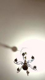 Annarellapika — 在 cam4 直播的网络摄像头模特