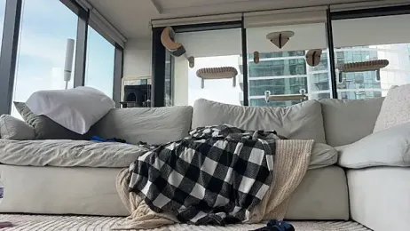 Graciemae_baexx — Stripchat stream photo (Mar 2026)