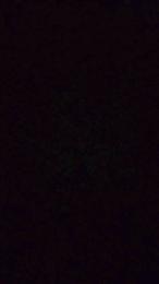 Lariitaxxx — Cam4 profile photo