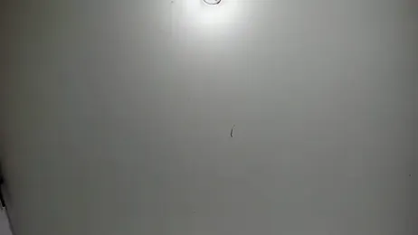 KiaraandEnzzo_ — Stripchat stream photo (Oct 2025)