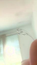 Asiianslut — 在 cam4 直播的网络摄像头模特