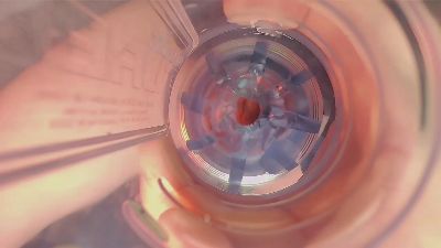 MikeSpyke — Cam4 stream photo (Apr 2026)