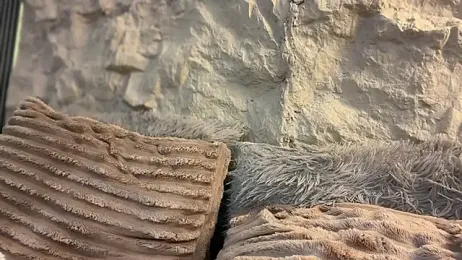 GenesisCastillano — 在 stripchat 直播的网络摄像头模特