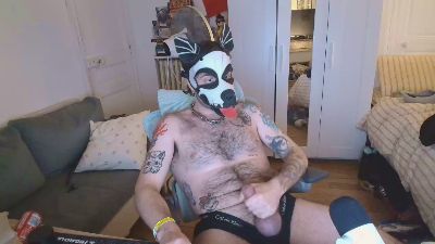 AlfyrPupX — Cam4 stream photo (Feb 2026)