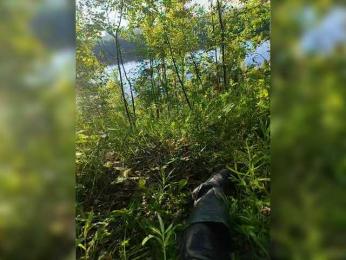 Hotpepper-Sweetpepper — Bongacams stream photo (Jun 2026)