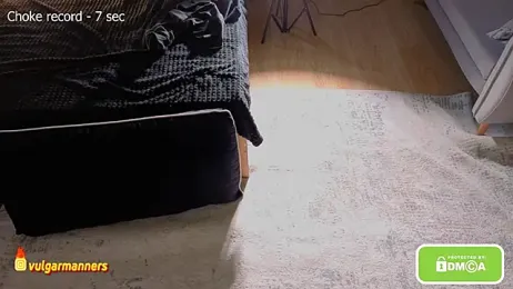 vulagarmanners_ — 在 stripchat 直播的网络摄像头模特