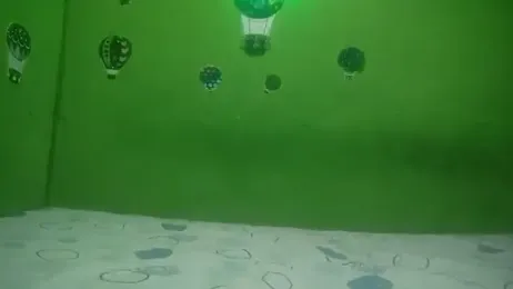 wilialex — stripchat