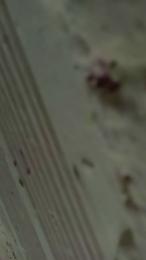 cristal203 — Cam4 stream photo (Sep 2026)
