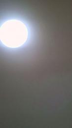 Gatitamadurita — Cam4 stream photo (Feb 2026)