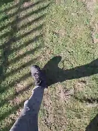 FreezingTie850 — 在 stripchat 直播的网络摄像头模特