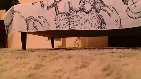 POCARI_SWEAT — 在 stripchat 直播的网络摄像头模特