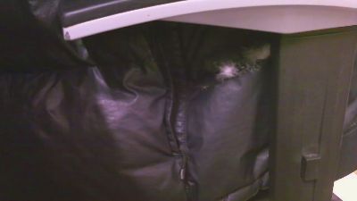 erasmo45 — 在 cam4 直播的网络摄像头模特