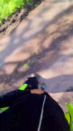 Bigdick95daddy — 在 cam4 直播的网络摄像头模特