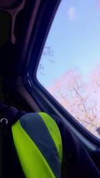 Bigdick95daddy — 在 cam4 直播的网络摄像头模特