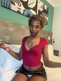Trans_fairy — Stripchat stream photo (Aug 2026)