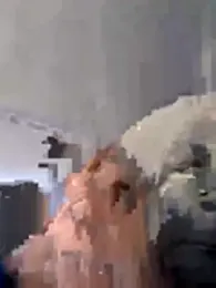 NovaDivine3000 — Stripchat stream photo (Mar 2026)