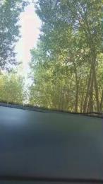 Cook199 — Cam4 stream photo (Sep 2026)