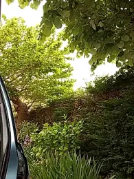 BZH45 — Stripchat stream photo (Apr 2026)