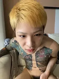 diandian88 — 在 stripchat 直播的网络摄像头模特