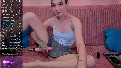 StellaGround — stripchat