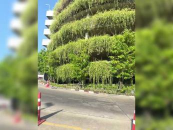 Tvoyasamka77 — Bongacams stream photo (Mar 2026)