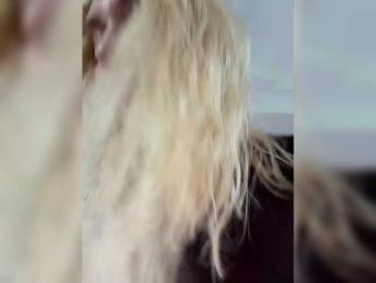 Tvoyasamka77 — Bongacams stream photo (Mar 2026)