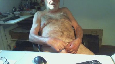 Seniorhengst — Cam4 stream photo (May 2026)