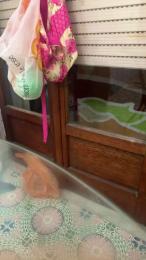 Riccicapricci84 — Cam4 profile photo