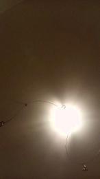Solcii28 — Cam4 stream photo (Jun 2026)