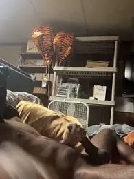 ProveYourLoyalty2 — Stripchat stream photo (Apr 2026)