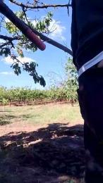 uncutcockitaly — 在 cam4 直播的网络摄像头模特