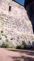 uncutcockitaly — 在 cam4 直播的网络摄像头模特