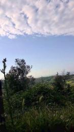 uncutcockitaly — 在 cam4 直播的网络摄像头模特