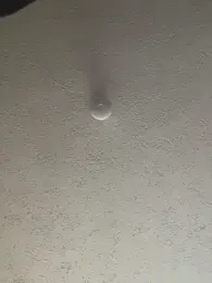 Baby__Otaku — Stripchat stream photo (Apr 2026)