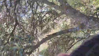 X_joven20madr1 — 在 cam4 直播的网络摄像头模特