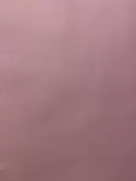 Cute_palak001 — 在 stripchat 直播的网络摄像头模特