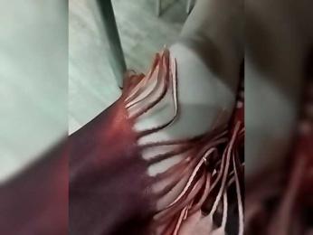 Traxuncik8894 — Bongacams profile photo