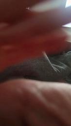 Virgipat — Cam4 stream photo (Jan 2026)